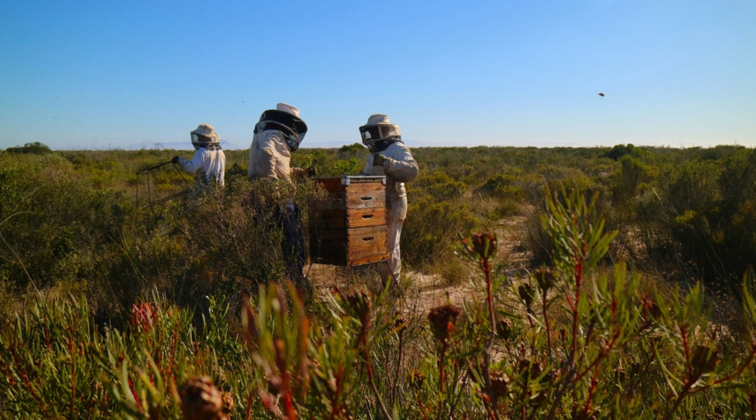 What is Sustainable Skincare?